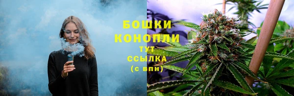 spice Арсеньев