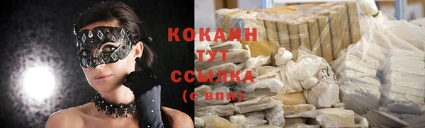 spice Арсеньев