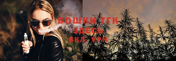 spice Арсеньев