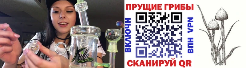 Псилоцибиновые грибы ЛСД Купить закладки Вичуга